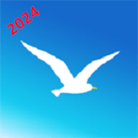 海鸥加速器2024年新春版