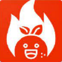 快橙加速器2026年新春版